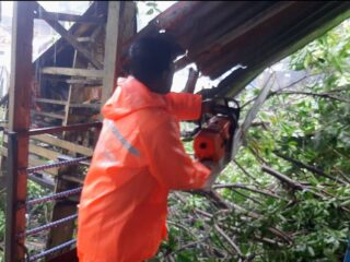 Hujan Tak Kunjung Henti, Warung Kelontong Tertimpa Pohon di Langsa 