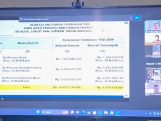 Pengembalian TKDD, Wali Kota Langsa: Terimakasih Presiden 
