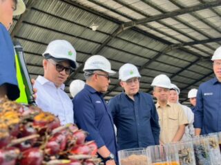 Danantara: Transformasi PalmCo, Subholding dari Holding Prekebunan Nusantara Dinilai Perkuat Kemandirian Pangan dan Energi Nasional