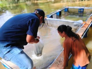 Lewat PTPN IV Regional III, Holding Perkebunan Nusantara Stimulus Pemuda Tandun Kembangkan Keramba Ikan