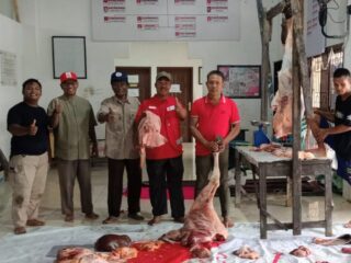 Jelang Ramadhan, PMI Langsa Sembelih Sapi Meugang untuk Relawan