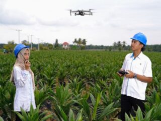 Holding Perkebunan Nusantara Percepat Transformasi Digital, PalmCo Sertifikasi Operator Drone Perkuat Sistem Pemantauan Kebun