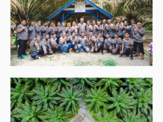 Holding Perkebunan Nusantara melalui PTPN IV PalmCo Perkuat Kemitraan 2.500 Petani Sawit di Rokan Hulu