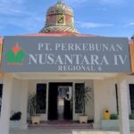 PTPN IV Regional VI Luruskan Fakta Kasus Pengambilan Brondolan di Kebun Baru