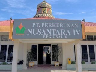 PTPN IV Regional VI Luruskan Fakta Kasus Pengambilan Brondolan di Kebun Baru