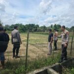 Komitmen Polri Dukung Ketahan Pangan, Polsek Tapung Cek Perkembangan Tumbuhan Jagung Pipil di Desa Batu Gajah