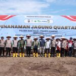 Polres Kampar Bersama Koppsa-m Tanami 10 Hectar Lahan Dengan Jagung, Garap Ketahtanan Pangan Sejak Akarnya