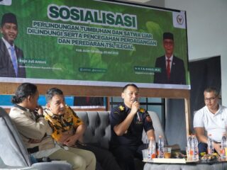 Bea Cukai Langsa dan Balai Gakkum Kehutanan Wilayah Sumatera Edukasi Masyarakat Cegah Perdagangan dan Peredaran Ilegal TSL Dilindungi