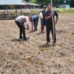Polsek Kampar Garap 2 Hectar Lahan Untuk Penanaman Jagung, Dukung Program Asta Cita Ketahanan Pangan Desa Kayu Aro