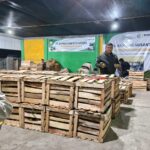 Helmi Ketua Rumah Tani Aceh Tengah : 100 Ton Alpokat Tembus Pasar Jawa-Bali