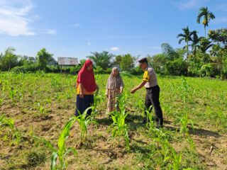 Monitoring di Lahan Perkebunan Kelompok Wanita Tani Terus di Pantau Polsek Bangkinang Barat Agar Hasil Panen Maksimal