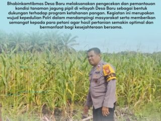 Bhabinkamtibmas Desa Baru Aktif Dampingi Petani, Dukung Ketahanan Pangan Nasional