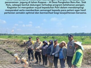 Polsek Siak Hulu Bersama Kelompok Tani Dukung Ketahanan Pangan Nasional