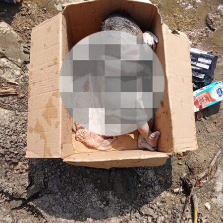 Mayat Bayi Malang  di Temukan di Sungai, Kapolsek Ujung Batu Akan Usut Tuntas Kasusnya