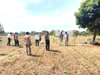 IPTU Peri Padli, S.H, Kapolsek Cerenti Pastikan Program Ketahanan Pangan Desa Sikakak Berjalan Optimal