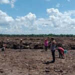 Bhabinkamtibmas Desa Pangkalan Baru Pantau Penanaman Jagung Pipil di Lahan KOPPSA-M Seluas 10 Hektare