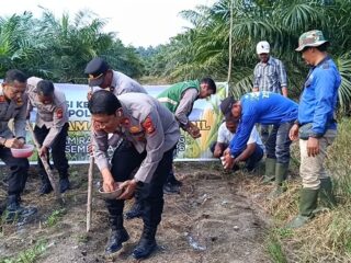 Jajaran Polsek Tapung Giat Lakukan Penanaman Jagung Kuartal III, Demi Perkuat Swasembada Pangan Nasional 2026