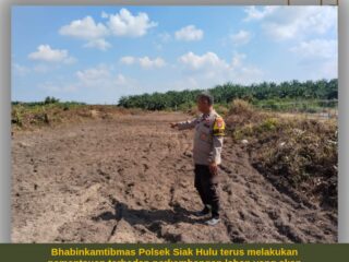 POLSEK SIAK HULU DUKUNG KETAHANAN PANGAN, PEMBUKAAN LAHAN JAGUNG PIPIL DI DESA KEPAU JAYA MULAI DILAKSANAKAN
