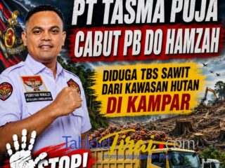 Diduga TBS Sawit dari Kawasan Hutan di Kampar, Elang 3 Hambalang Riau Minta PT Tasma Puja Cabut PB DO Hamzah