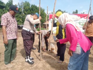 Polsek Kampar Perkuat Ketahanan Pangan Nasional, AKP Asdisyah Mursid Pimpin Jajaran Dukung Penanaman Jagung Pipil di Rumbio Jaya