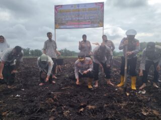 Polsek Siak Hulu Bersama Kelompok Tani Mandiri Desa Baru Tanam Jagung Pipil Quartal III