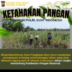Bhabinkamtibmas Polsek Siak Hulu Cek Lahan Jagung KOPPSA-M, Dukung Ketahanan Pangan Nasional
