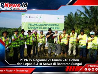 PTPN IV Regional VI Tanam 248 Pohon dan Lepas 2.310 Satwa di Bantaran Sungai