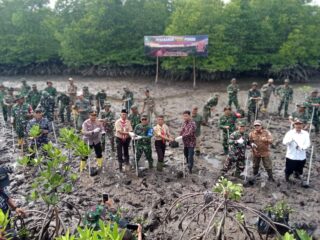 Sambut HUT TNI Ke-81, Kodim 0104 Aceh Timur Tanam Seribu Pohon untuk Negeri dan Hijaukan Bumi