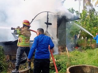 30 Menit Berjibaku, Damkar Jinakkan Api Lahap Rumah Warga Alur Pinang