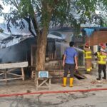 Warung Potong Ayam di Pasar Hewan Langsa Terbakar, Diduga Dipicu Kebocoran Gas